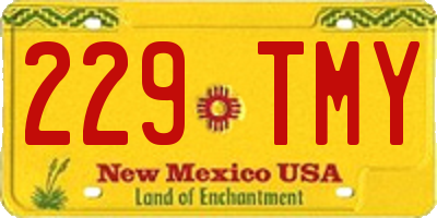 NM license plate 229TMY