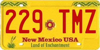 NM license plate 229TMZ