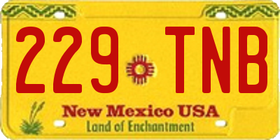 NM license plate 229TNB