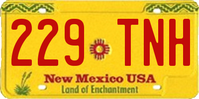 NM license plate 229TNH