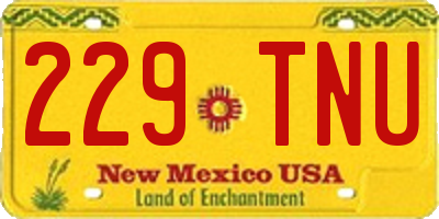 NM license plate 229TNU
