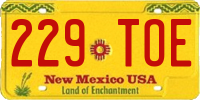 NM license plate 229TOE