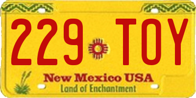 NM license plate 229TOY