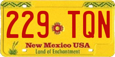 NM license plate 229TQN