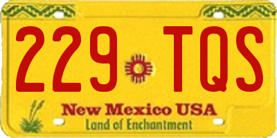 NM license plate 229TQS