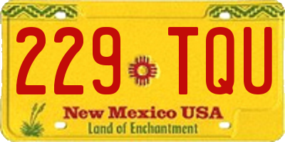 NM license plate 229TQU