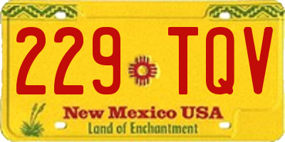 NM license plate 229TQV
