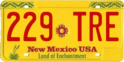 NM license plate 229TRE