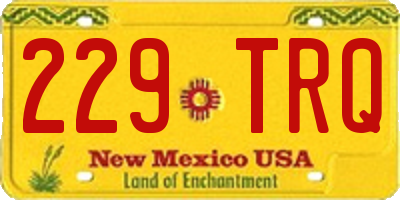 NM license plate 229TRQ
