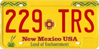 NM license plate 229TRS
