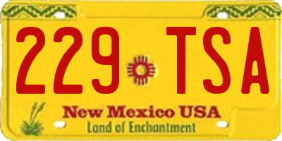 NM license plate 229TSA