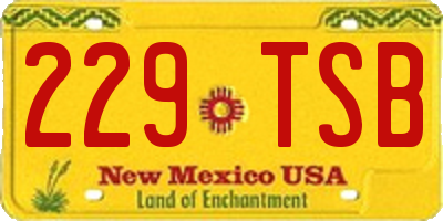 NM license plate 229TSB