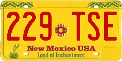 NM license plate 229TSE