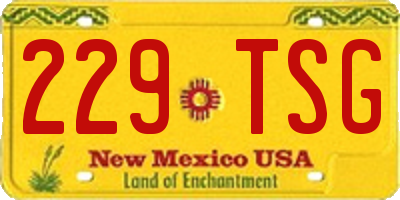 NM license plate 229TSG