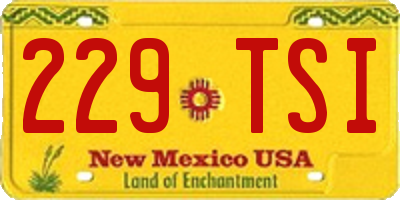 NM license plate 229TSI