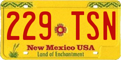 NM license plate 229TSN