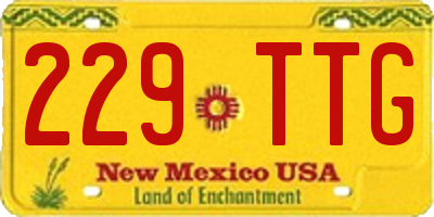 NM license plate 229TTG