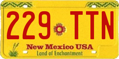 NM license plate 229TTN