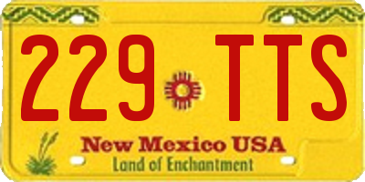 NM license plate 229TTS