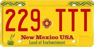 NM license plate 229TTT