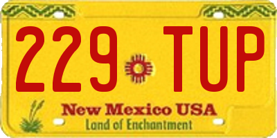 NM license plate 229TUP
