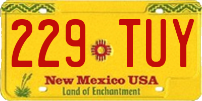 NM license plate 229TUY