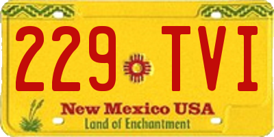 NM license plate 229TVI