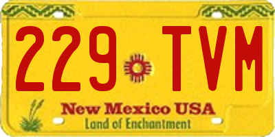 NM license plate 229TVM