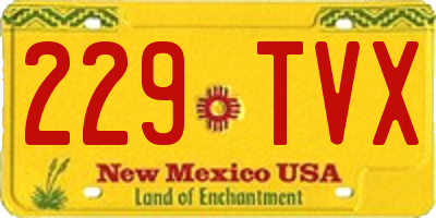 NM license plate 229TVX