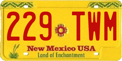 NM license plate 229TWM