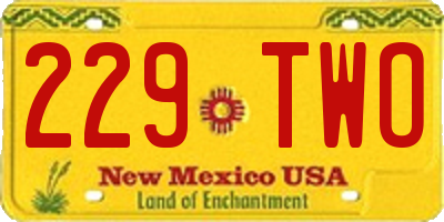 NM license plate 229TWO