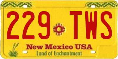 NM license plate 229TWS