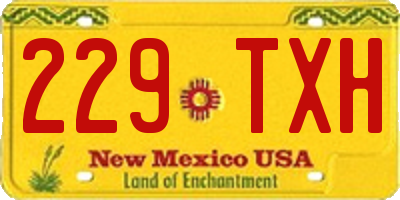 NM license plate 229TXH