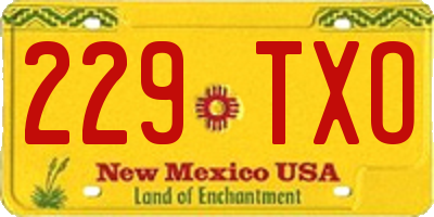 NM license plate 229TXO