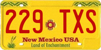 NM license plate 229TXS