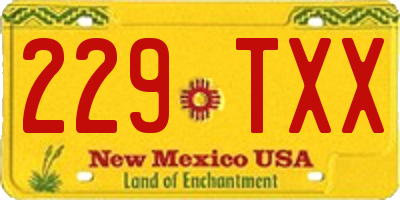 NM license plate 229TXX