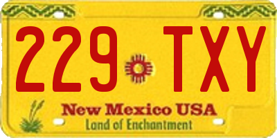 NM license plate 229TXY