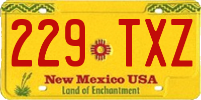 NM license plate 229TXZ