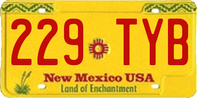 NM license plate 229TYB