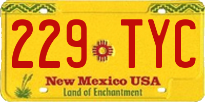 NM license plate 229TYC