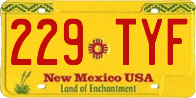 NM license plate 229TYF