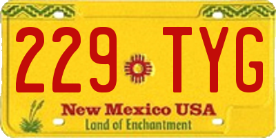 NM license plate 229TYG