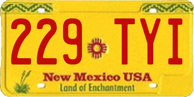NM license plate 229TYI