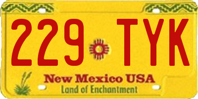 NM license plate 229TYK
