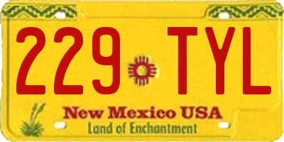 NM license plate 229TYL