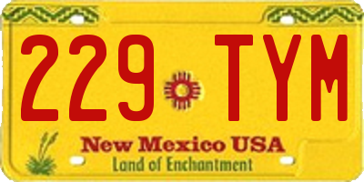 NM license plate 229TYM