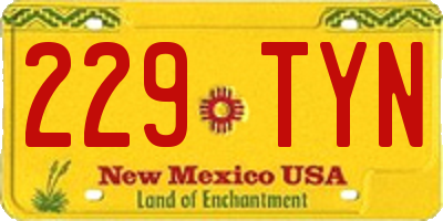 NM license plate 229TYN