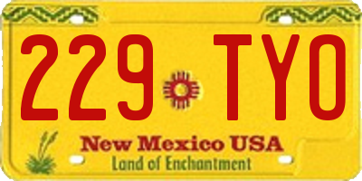NM license plate 229TYO