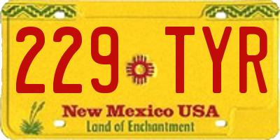 NM license plate 229TYR
