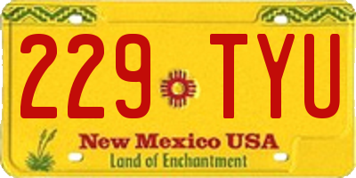 NM license plate 229TYU